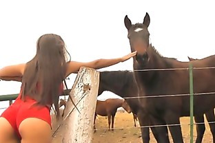 The Hot Lady Horse Whisperer - Amazing Body Latina! 10  Ass!